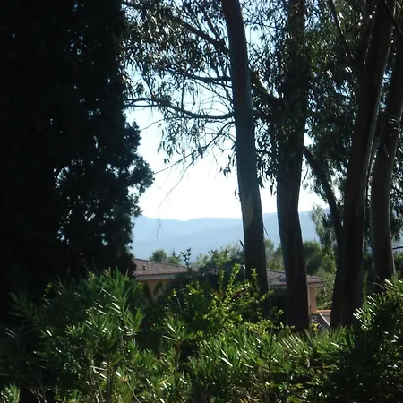 With Private Pool & Villa Frejus